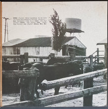 Load image into Gallery viewer, Ryan, Ross - My Name Means Horse