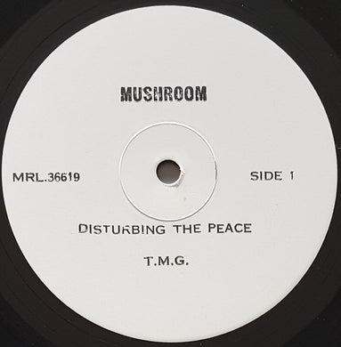 Ted Mulry Gang - Disturbing The Peace