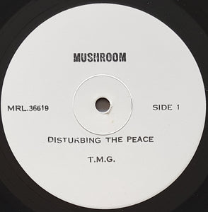 Ted Mulry Gang - Disturbing The Peace