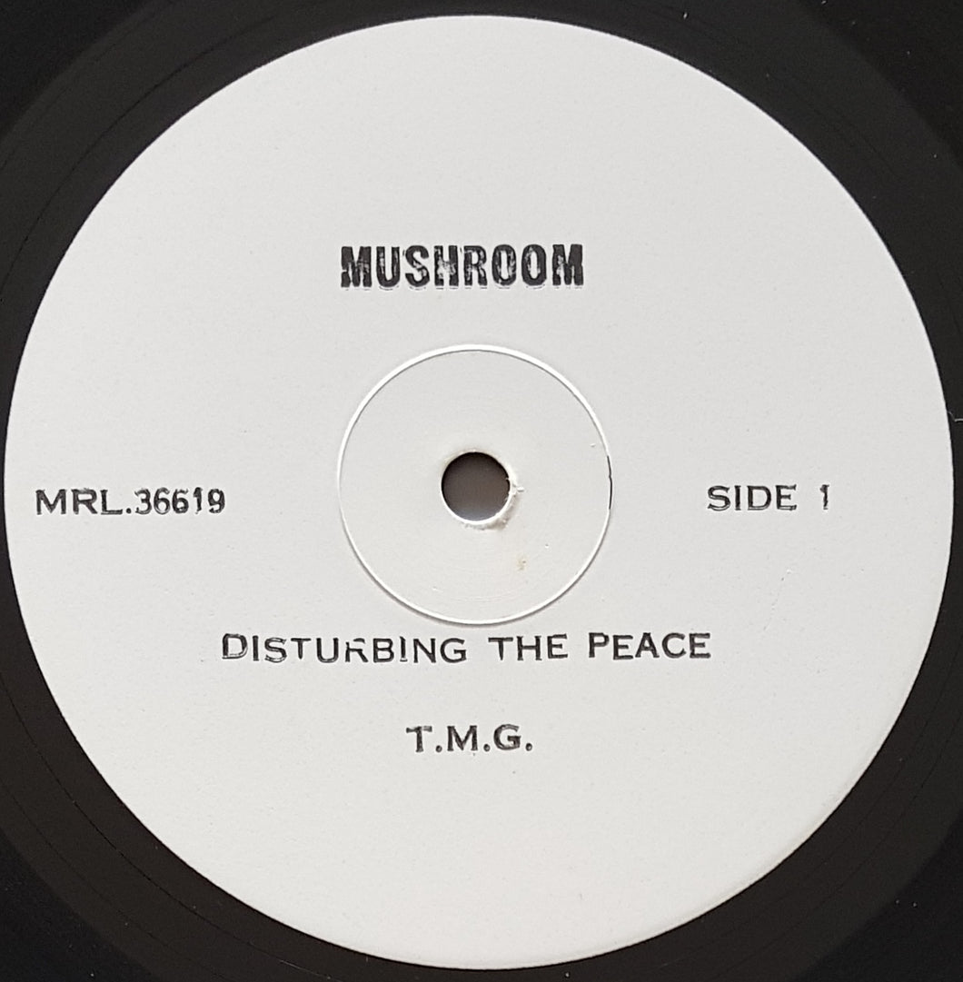 Ted Mulry Gang - Disturbing The Peace