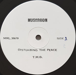 Ted Mulry Gang - Disturbing The Peace