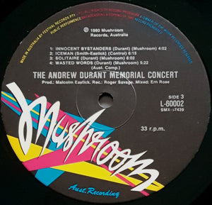 V/A - The Andrew Durant Memorial Concert Album