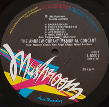 Load image into Gallery viewer, V/A - The Andrew Durant Memorial Concert Album