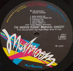 V/A - The Andrew Durant Memorial Concert Album