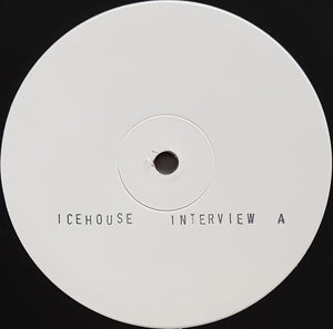 Icehouse - Man Of Colours