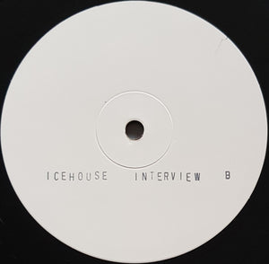 Icehouse - Man Of Colours