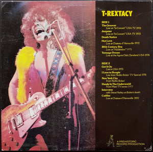 T.Rex - A History (Vol.IV) T.Rextacy