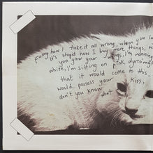 Load image into Gallery viewer, Magic Dirt - Signs Of Satanic Youth