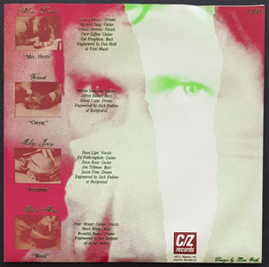 V/A - Teriyaki Asthma Volume Four