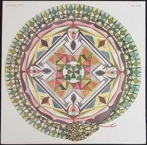 Skull Defekts - Peer Amid
