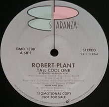Load image into Gallery viewer, Led Zeppelin (Robert Plant) - Tall Cool One