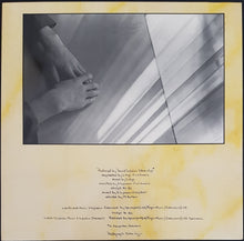 Load image into Gallery viewer, Sylvian, David- Brilliant Trees