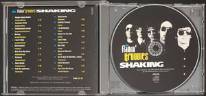 Flamin' Groovies - Shaking