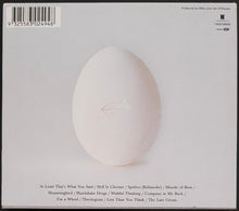Load image into Gallery viewer, Wilco - A Ghost Is Born