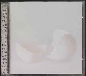 Wilco - A Ghost Is Born