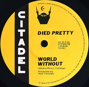 Died Pretty - Out Of The Unknown