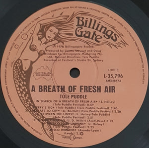 Tole Puddle - In Search Of A Breath Of Fresh Air
