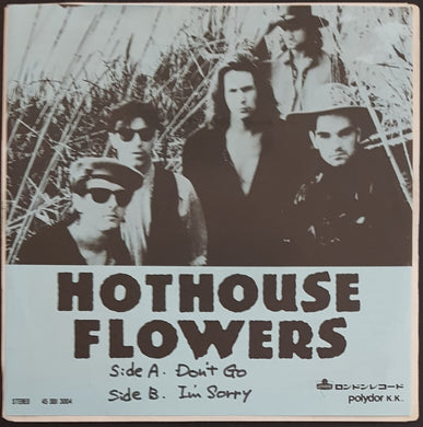 Hothouse Flowers - Don't Go