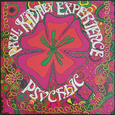 Paul Kidney Experience - Psychlic