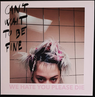 We Hate You Please Die - Can't Wait To Be Fine