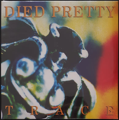 Died Pretty - Trace
