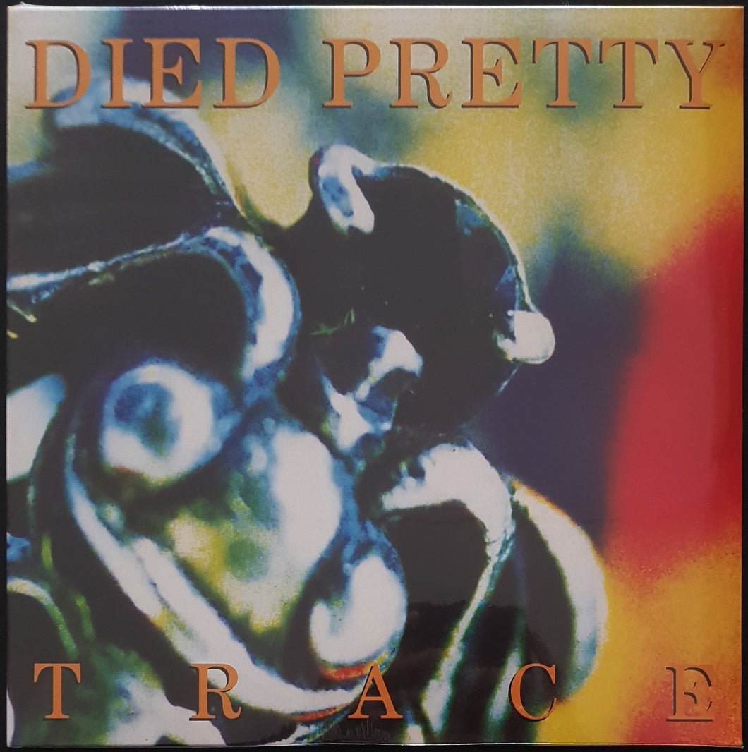 Died Pretty - Trace