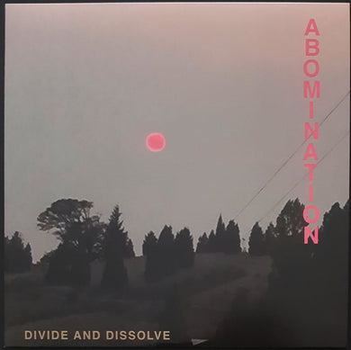 Divide And Dissolve - Abomination