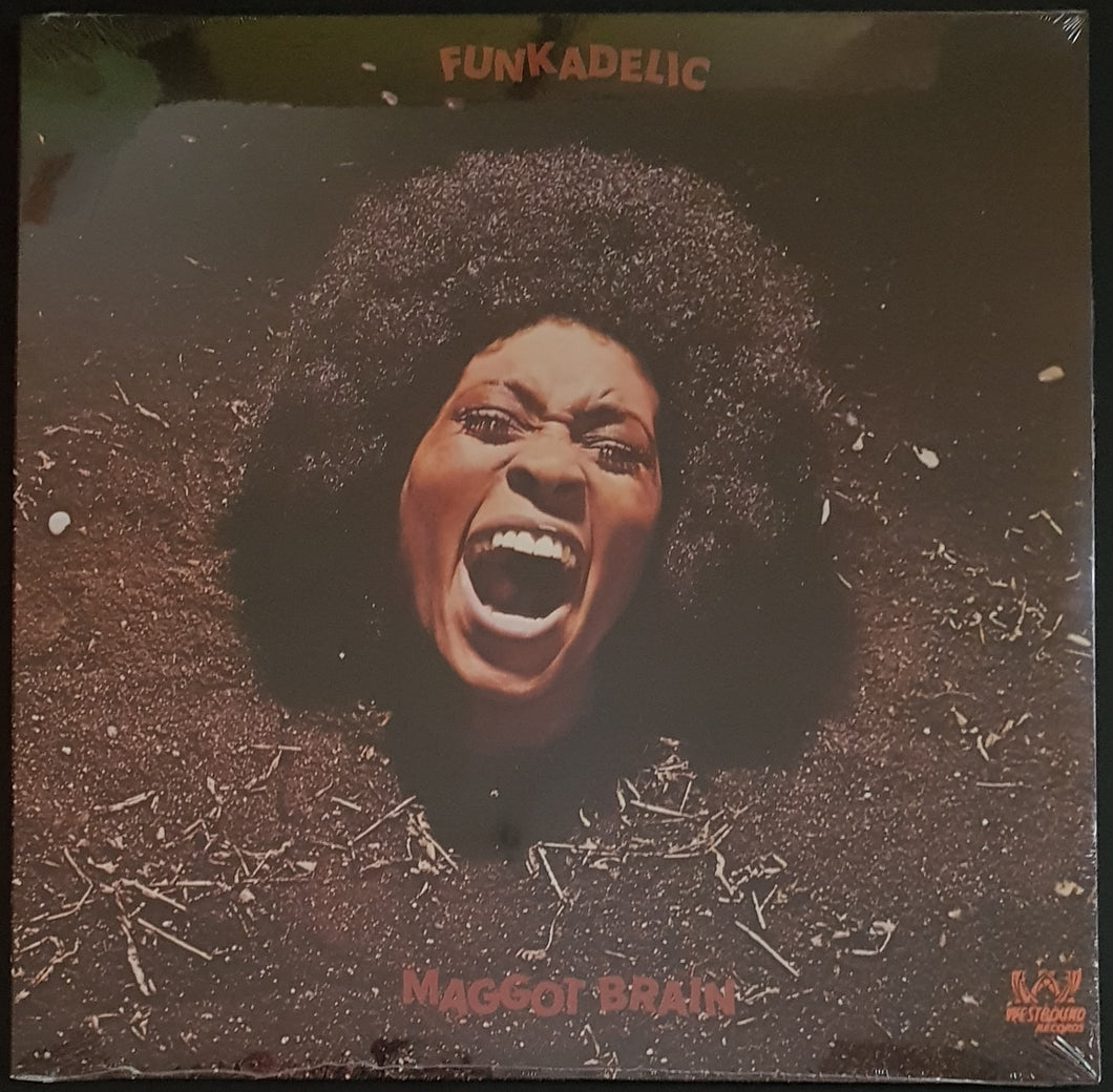 Funkadelic - Maggot Brain