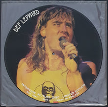 Load image into Gallery viewer, Def Leppard - Limited Edition Interview Picture Disc