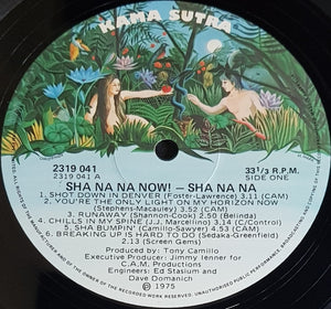 Sha Na Na - Sha Na Now