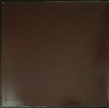 Load image into Gallery viewer, Larry Carlton - Singing / Playing