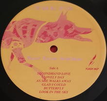 Load image into Gallery viewer, Fox (UK) - For Fox Sake