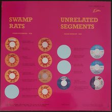Load image into Gallery viewer, Swamp Rats - Unrelated Segments