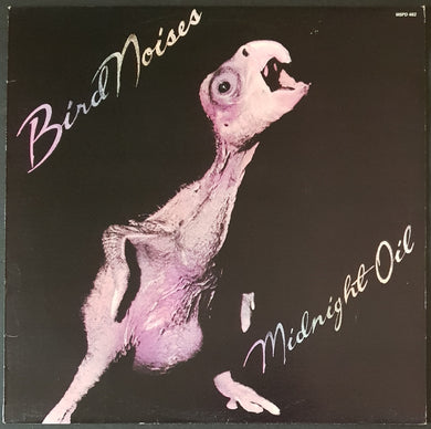 Midnight Oil - Bird Noises