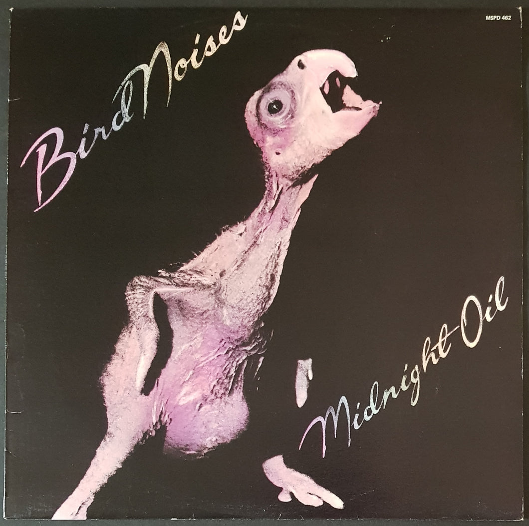 Midnight Oil - Bird Noises