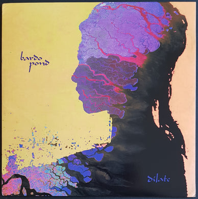 Bardo Pond - Dilate