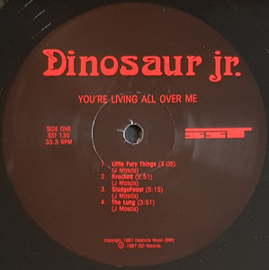 Dinosaur Jr - You're Living All Over Me