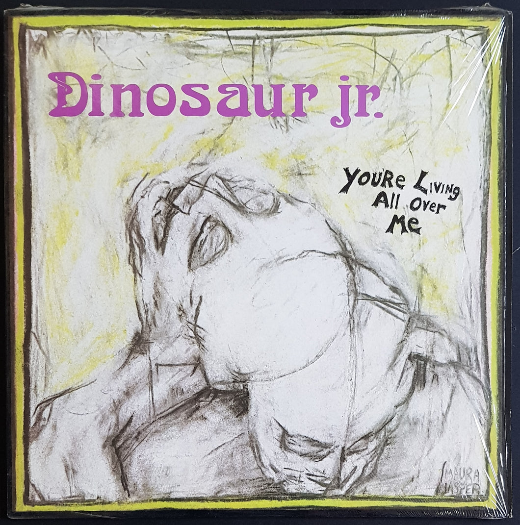 Dinosaur Jr - You're Living All Over Me