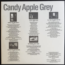 Load image into Gallery viewer, Husker Du - Candy Apple Grey