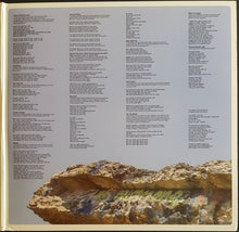 Load image into Gallery viewer, Black Lips - Good Bad Not Evil