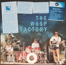 Load image into Gallery viewer, Wasp Factory - Steel Blue Skies