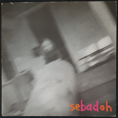 Sebadoh - Rocking The Forest