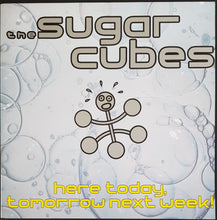 Load image into Gallery viewer, Sugarcubes - Here Today, Tomorrow Next Week!