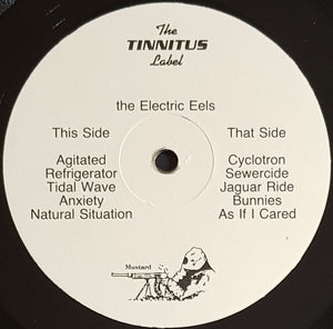 Electric Eels - Having A Philosophical Investigation With The Electric Eels