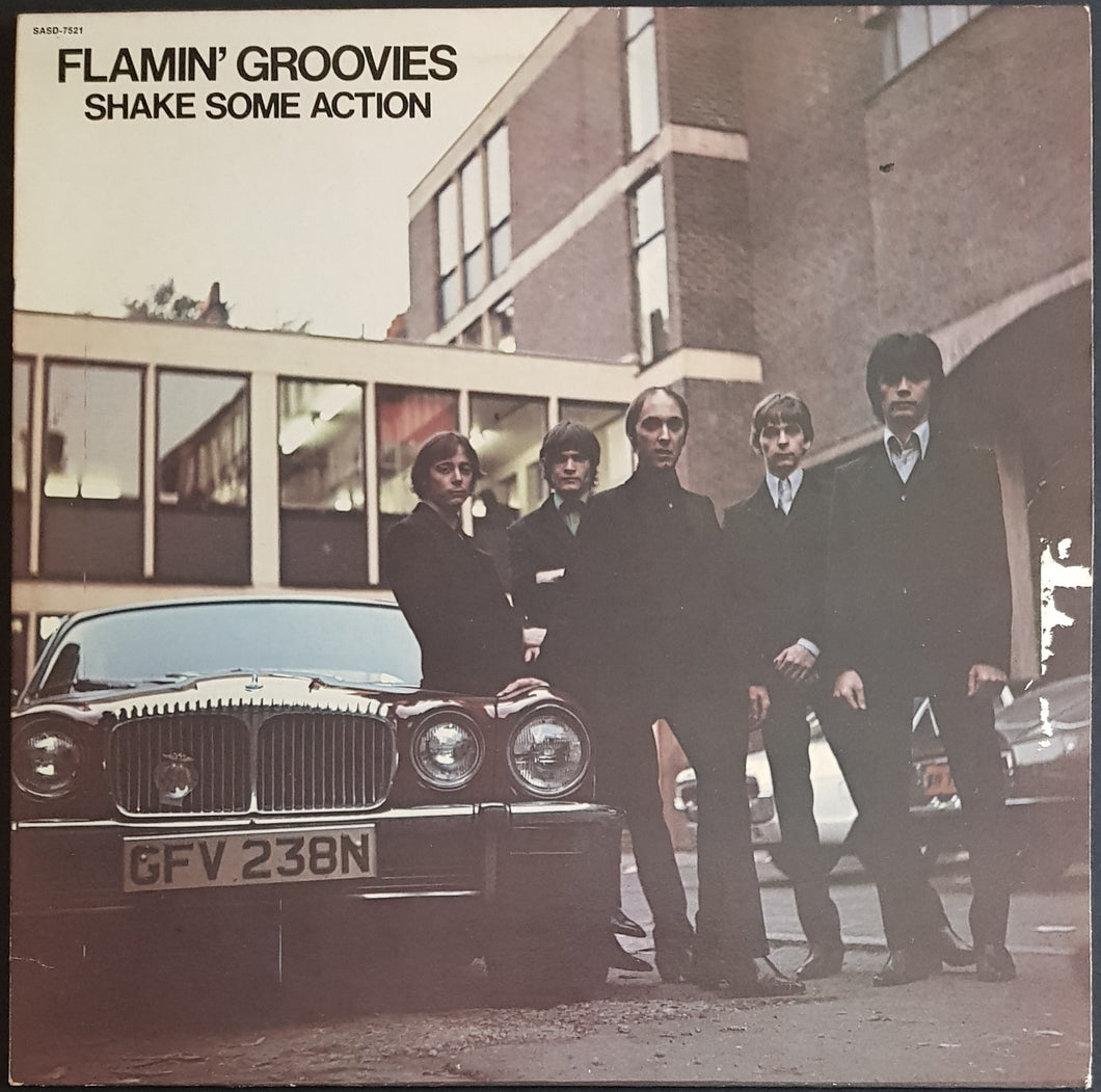 Flamin' Groovies - Shake Some Action