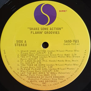 Flamin' Groovies - Shake Some Action