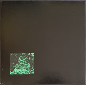Six Organs Of Admittance - Six Organs Of Admittance