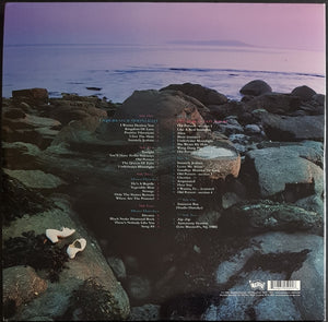 Soft Boys - Underwater Moonlight ...And How It Got There