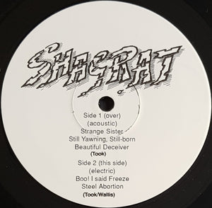 Steve Took's Shagrats - Nothing Exceeds Like Excess