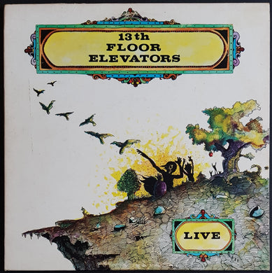 13th Floor Elevators - Live